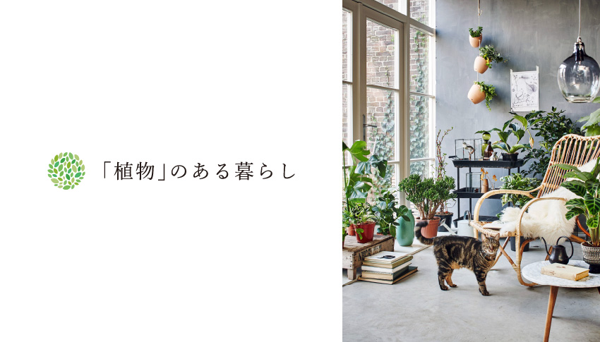 仙台の家具MONO＋春の暮らし提案：植物のある暮らし